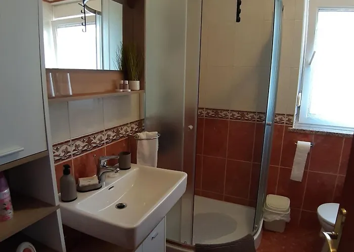 Διαμέρισμα Dunja Bužinija