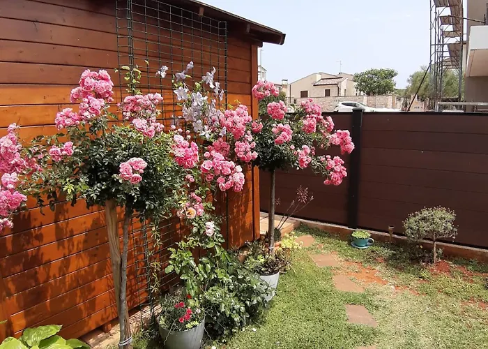 Dunja Διαμέρισμα Bužinija